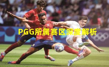 PGG所属赛区深度解析
