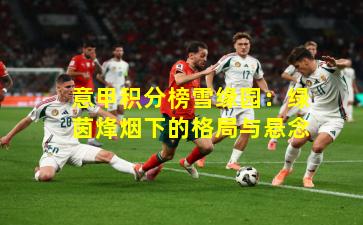 意甲积分榜雪缘园：绿茵烽烟下的格局与悬念